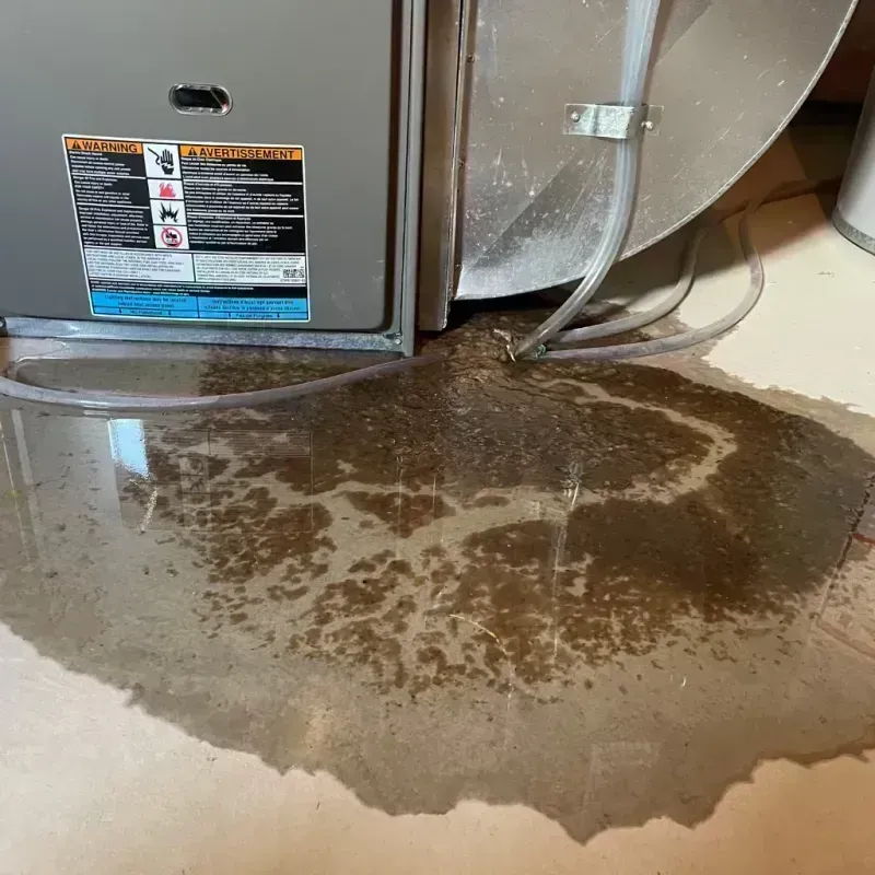 Appliance Leak Cleanup in Adrian, MN